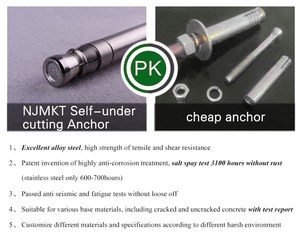 Eta Trung Quốc hàng đầu nhà sản xuất bê tông Undercut Neo 304 thép không gỉ cơ khí bu lông Neo - Product Image 5