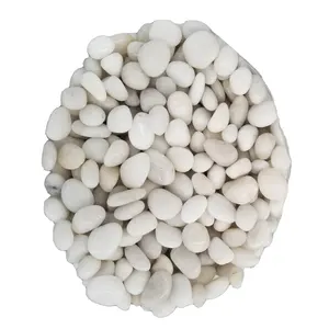 Landscape Pebble Stone for Garden Park Decoration Natural White Graphic Design Modern Hot Selling Natural Stone 5 Years HR Stone