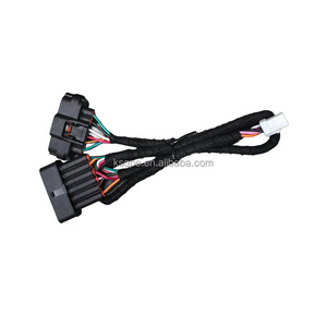 Rangkaian Kabel Karet Tahan Air Profesional Pabrik Molex TE Tyco AMP 2-8 Pin untuk Peralatan Rumah Tangga dan Mesin - Product Image 1