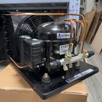 Unité de condensation intérieure HBP 50Hz pour les Émirats arabes unis, 220-240V, 1/3 CV, capacité de refroidissement, compresseur TIBO, réfrigérant R-134a/R-513A, haute performance