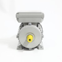 Moteur en cuivre pur série ML100L2-4 de haute qualité, monophasé à démarrage par condensateur, CE ISO, boîtier en aluminium pour pompes et ventilateurs