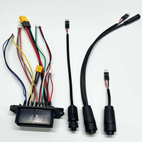 ODM OEM 2.54mm kawat Harness JST SH GH ZH PH XH MOLE listrik pria 2 3 4 5 6 Pin konektor Terminal disesuaikan untuk otomotif