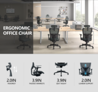 Chaise de bureau ergonomique de direction moderne avec support lombaire en maille pivotant confortable et réglable pour accoudoir
