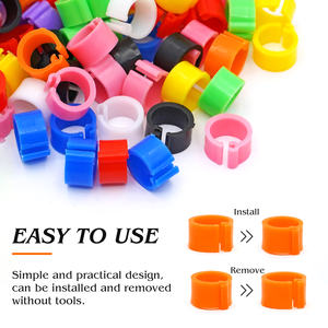 ห่วงขา<span class=keywords><strong>นก</strong></span>พิราบชิ้น/ถุง100 10มม. คุณภาพสูงห่วงขานกพิราบ<span class=keywords><strong>สี</strong></span>สันสดใสไม่มีคำ - Product Image 4