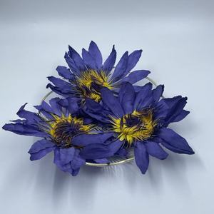 Groothandel Blauwe Lotusbloem Blauwe Lotusbloem Extract - Product Image 1