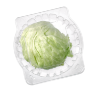 Boîte à emporter jetable en PET transparent bol à légumes salade en plastique chou conteneur pour animaux de compagnie boîte à légumes