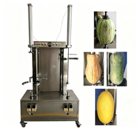 Automatische elektrische mango- en pompoenschiller, groene mango-snijmachine voor groenten en fruit.