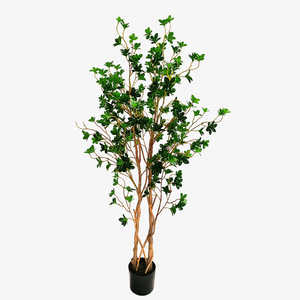 Ornement d'intérieur et d'extérieur, petite et grande taille, fausses plantes de fromage en pot, semis vertes, bonsaï live, 100 pièces - Product Image 4