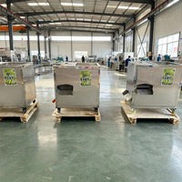 Automatische hoogproductieve groene banaan- en plantain-schilmachine voor fruitverwerking