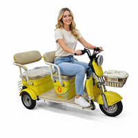 Tricycle Électrique Ouvert à Trois Roues 1000W 60V avec Moteur Arrière, 3 Vitesses, 3 Sièges pour Adultes - Vente Chaude