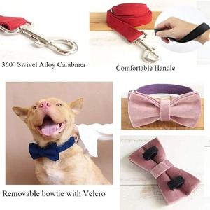Accesorios Para Mascotas <span class=keywords><strong>al</strong></span> por Mayor, <span class=keywords><strong>Collar</strong></span> ajustable suave personalizado, con hebilla de Metal grabada, de terciopelo Para perro - Product Image 5