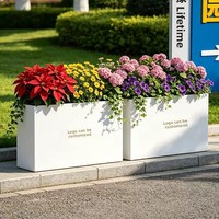 Bac à fleurs en tôle galvanisée pour extérieur, parterre de fleurs, jardinière urbaine, style luxe léger, 1 gramme