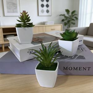 Plante succulente artificielle en pot carré, mini plante en pot, verdure pour la décoration de la maison, du bureau ou du bureau à domicile, ornement de plante d'intérieur en plastique - Product Image 2