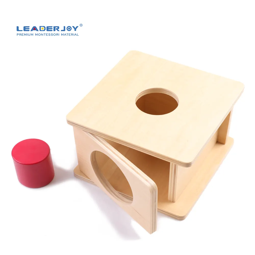 LEADERJOY Fournitures Éducatives Jouets En Gros Montessori Bambin Jouets éducatifs Montessori Infantile Imbucare Boîtes