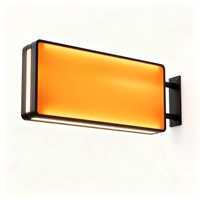 Boîtes lumineuses publicitaires à changement de couleur irisé, enseignes rétroéclairées dynamiques à LED