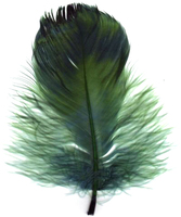 Plume d'oie de citron vert pour Arts artisanat bricolage stylo aile coiffure fête carnaval Costume chapeau cheveux accessoire Halloween maison décor de noël