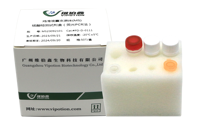 Kit de PCR en Tiempo Real para el Complejo de Mycobacterium Tuberculosis (MTC), Tiras Reactivas Veterinarias Liofilizadas Marca VIUICK para Cerdos y Ganado