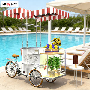 Chariot à main électrique à 2 roues en fibre de verre personnalisé, chariot de livraison de nourriture de rue, chariot de crème glacée avec congélateur d'affichage à vendre - Product Image 3