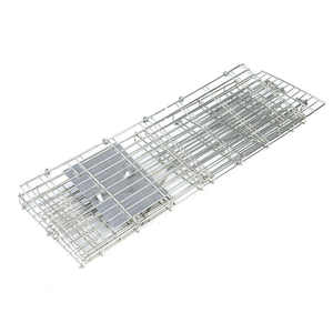 Piège à capture robuste pour écureuils sauvages, chats, <span class=keywords><strong>cage</strong></span> en métal pliable, forme carrée, pour la lutte antiparasitaire humaine, lapins errants - Product Image 3