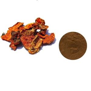 Organic 8:1 Pure Ginseng Extract Energia e Mental Focus impulsionador <span class=keywords><strong>Root</strong></span> Cápsulas em várias embalagens Certified Halal - Product Image 1