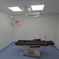 Lámpara Quirúrgica de Brazo Único, Lámparas de Operación de Techo, Lámpara Dental LED, Lámpara Quirúrgica sin Sombra para Veterinaria