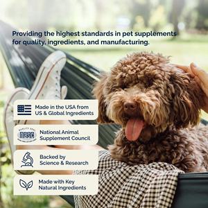 Compléments alimentaires naturels anti-démangeaisons à croquer pour chiens et chats, marque privée OEM/ODM, soutien allergique, santé immunitaire, peau et pelage, absorption rapide - Product Image 3