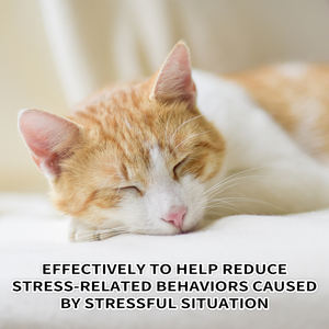 <span class=keywords><strong>Collar</strong></span> de camuflaje para mascotas, para gatos y perros pequeños, reduce la ansiedad, mantiene la calma en el viaje - Product Image 5