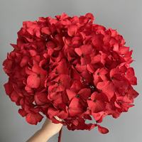 Bunga Abadi Warna Musim Gugur Hydrangea Yunnan Daun Besar Awetan Batang Tunggal untuk Dekorasi Pernikahan