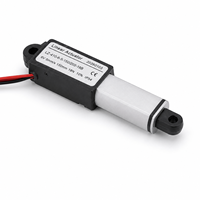 Aktuator Linear Mini Magnet Permanen 30mm 50mm 100mm 150mm Stroke DC 12V/24V 2500rpm Motor Listrik Panel Mount Batang Dorong Linear