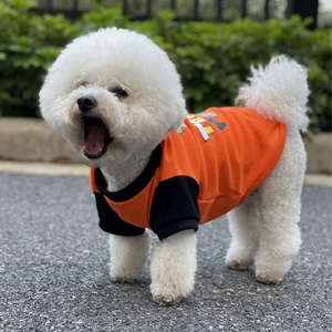 Ropa para Perros y Osos de Peluche Estilo Europeo Americano, Nueva Camiseta de Verano Delgada de Algodón en Tallas XS-L, Varios Colores con Patrón de Letras - Product Image 3