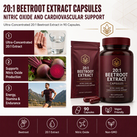 Complément Nutritionnel de Soutien Cardiovasculaire 20:1 Capsules d'Extrait de Betterave OEM ODM Marque Privée Usine Certifiée GMP Norme UE