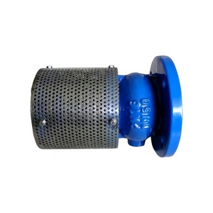 Clapet à ressort en fonte ductile avec filtre, fourni par l'usine, livraison gratuite - Product Image 2