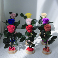 Lovebay Usine En Gros Stabilisé Roses Longue Vie Préservé Rose avec Tige Fleur Éternelle Unique Infinity Roses en Verre