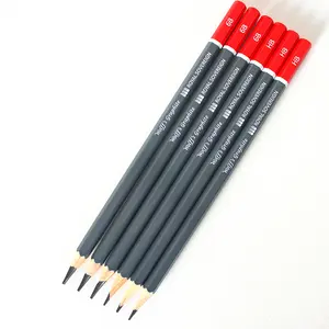 Professional wooden sketch pencil set with custom logo printed grade lead for artist drawing sketching