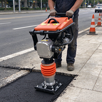Compacteur à plaques vibrantes certifié CE et EPA avec pièces de moteur de qualité supérieure, prix d'usine compétitif