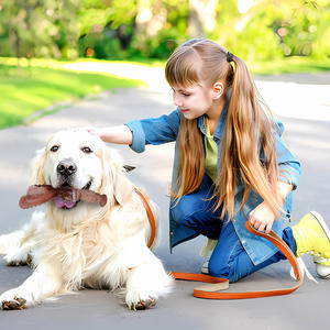 Dayanıklı çiğnemek dayanıklı köpek oyuncak | TPR <span class=keywords><strong>Bunny</strong></span> kulak tedavi orta ve büyük köpekler için dokulu diş temizleme tasarımı ile çiğnemek - Product Image 6