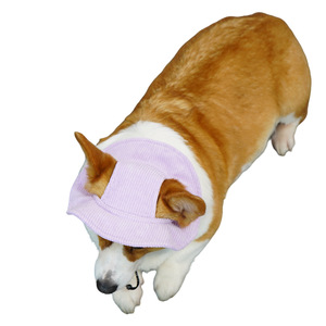 Chongtapet Pet Corduroy Fisherman <b>Hat</b> Adjustable For Dogs And Cats Sun Protection All Seasons Monochrome - Product Image 5