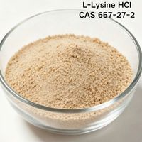 Youjian Vente en gros de L-Lysine monohydrochlorure CAS 657-27-2 L-Lysine HCL Ingrédient acide aminé pour la formulation d'aliments pour animaux