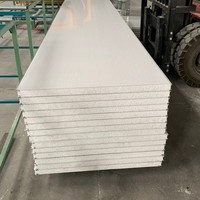 Panneau sandwich double couche pour mur et toit Isolation en mousse de polystyrène Pu EPS Panneau sandwich mural