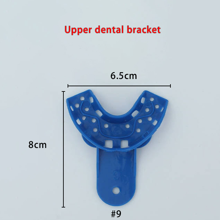 #9 Staffa dentale superiore