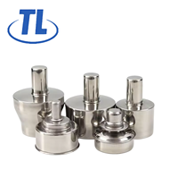 Lampes à alcool portables en acier inoxydable pour instruments dentaires et de laboratoire, 100ml, 200ml, 300ml, 450ml