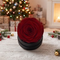 HFlora 1 pièce Mini Rose éternelle en soie pour la Saint-Valentin, cadeau de mariage pour invités, boîte cadeau décorative, fourniture d'usine