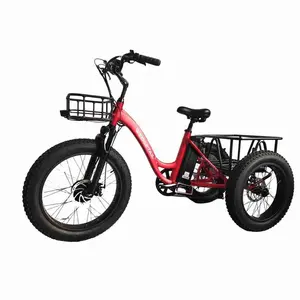 Holiday Deals 24 Inch Tricycle Bike Tricycle Three Wheels Electric Bike For Adult Electric Tricycles 3 Wheel Electric Cargo Bike