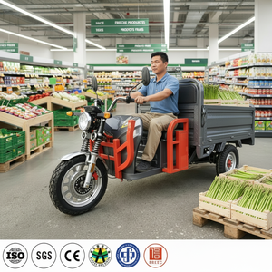 Motocicleta Eléctrica de Carga de 1000W, Triciclo de 3 Ruedas, Vehículo Eléctrico de <span class=keywords><strong>Transporte</strong></span>, Homologación Europea EEC, para Uso Diario en el Hogar y para Personas Mayores - Product Image 1