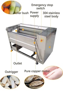 Machine industrielle de lavage et de pelage à brosses en acier inoxydable 304 pour carottes, fruits, oranges, pommes de terre, gingembre, manioc - Product Image 6