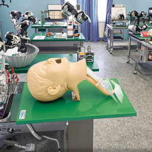 <span class=keywords><strong>แบบ</strong></span>จำลองการฝึกใส่ท่อช่วยหายใจสำหรับเด็กที่มีความเที่ยงตรงสูง PVC ขั้นสูงแบบจำลองการใส่ท่อช่วยหายใจสำหรับวิทยาศาสตร์การแพทย์ฉุกเฉิน - Product Image 6