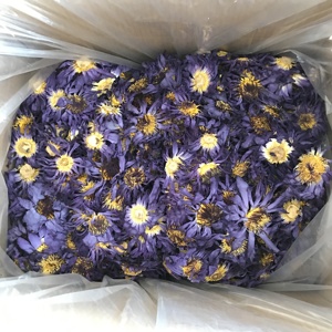 Fiori <span class=keywords><strong>di</strong></span> <span class=keywords><strong>Loto</strong></span> <span class=keywords><strong>Blu</strong></span> Essiccati all'Ingrosso, Erba Floreale <span class=keywords><strong>di</strong></span> Alta Qualità, Tè Nymphaea - Product Image 4