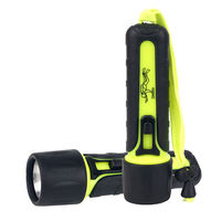 Lampe led étanche, 30 mètres de plongée, 4 piles AA, torche, lampe de poche, longue distance