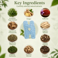 Patch chauffant personnalisé pour le genou à base de moxibustion, ingrédients naturels à base de plantes chinoises, plâtre chauffant pour soulager les douleurs articulaires en extérieur