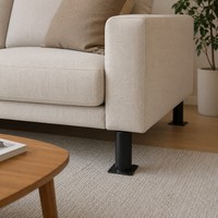 Pied de support de canapé en fer Jiashida, robuste, capacité de 50 kg, pour hôtel, salon et bureau à domicile, installation facile